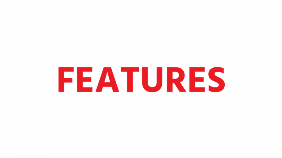 features.png