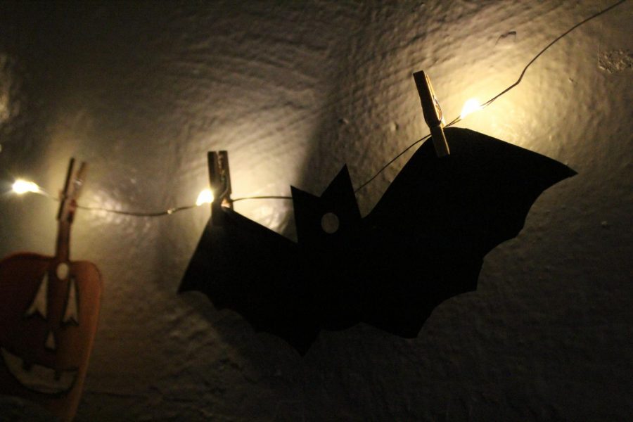 Simple bat decorations are easy to make for your home or dorm room with little work and money spent.