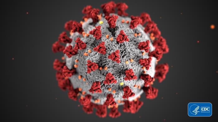 coronavirus.cdc